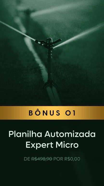 Bônus 01: Planilha Automatizada Expert Micro