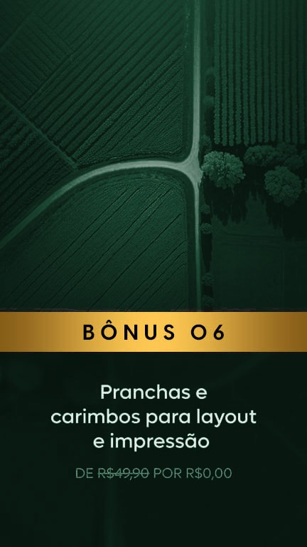 Bônus 06: Pranchas e carimbos para layout e impressão