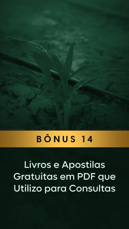 Bônus 14: Livros e Apostilas em PDF