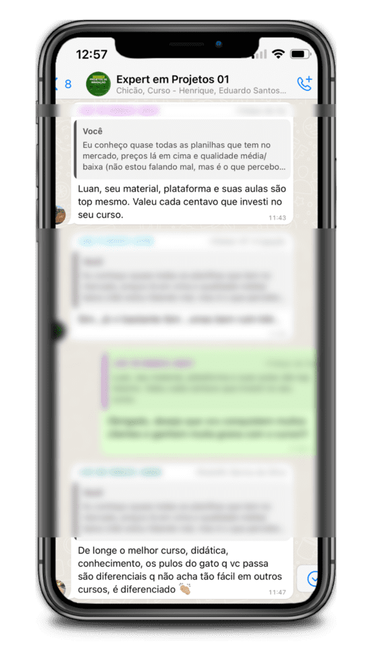 Mensagem de profissional validando as planilhas