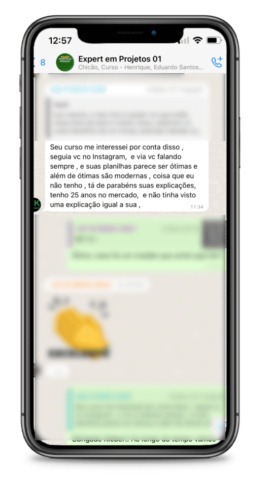 Mensagem de profissional validando as planilhas